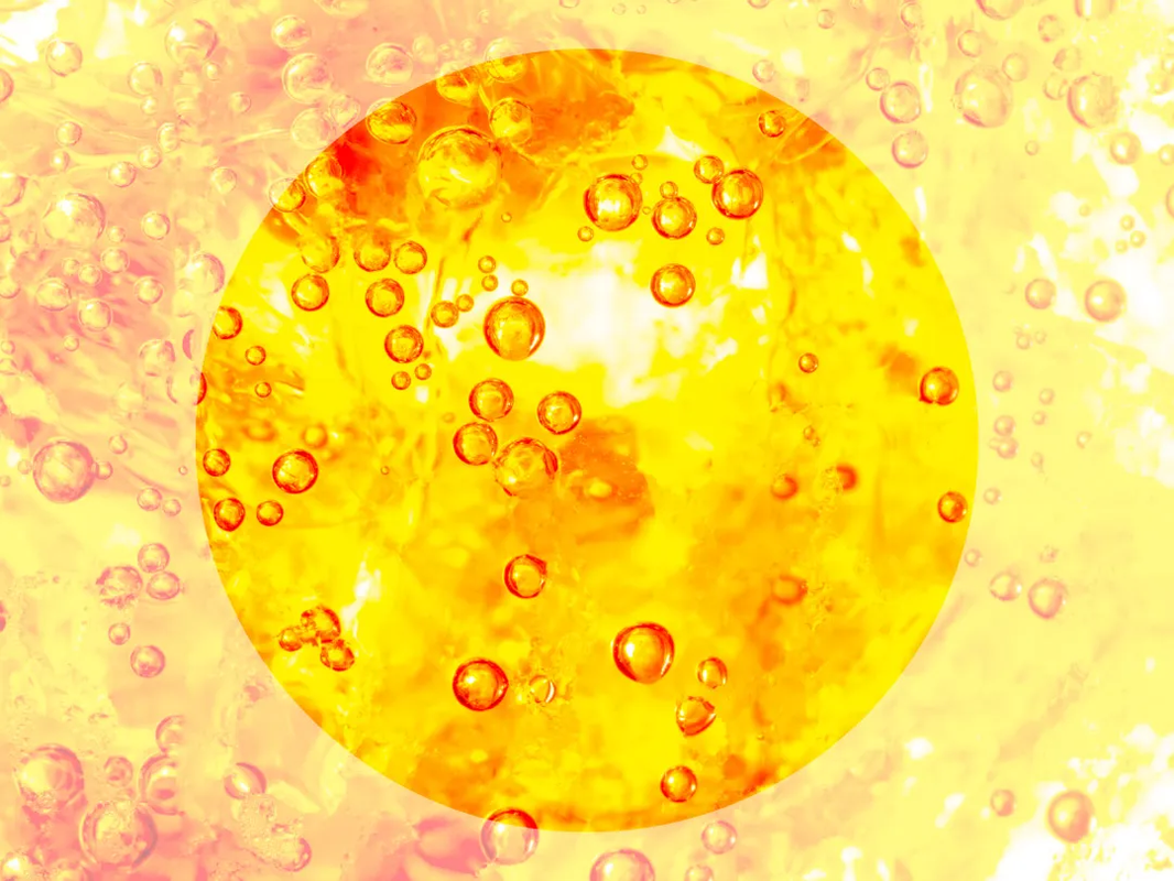 Understanding 1 Plus Bilirubin in Urine