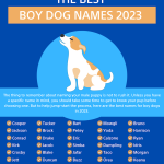 Unique_small_dog_names_for_boy_dogs
