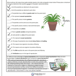 Video Recap of Asexual and Sexual Reproduction Answers_1