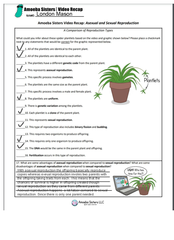 Video Recap of Asexual and Sexual Reproduction_ Answers
