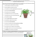 Video_recap_of_asexual_and_sexual_reproduction_answers_pdf