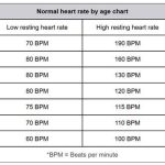 What_is_the_average_resting_heart_rate_for_a_15-year-old_female