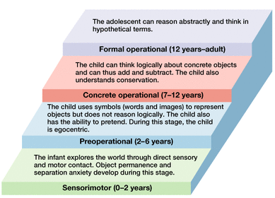 according to jean piaget_ object permanence develops during the ________ stage_