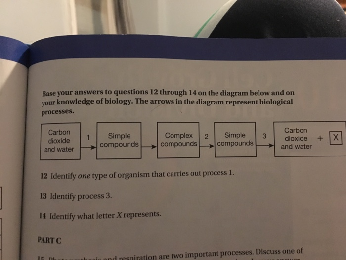 base your answer to the question on the diagram below and on your knowledge of biology
