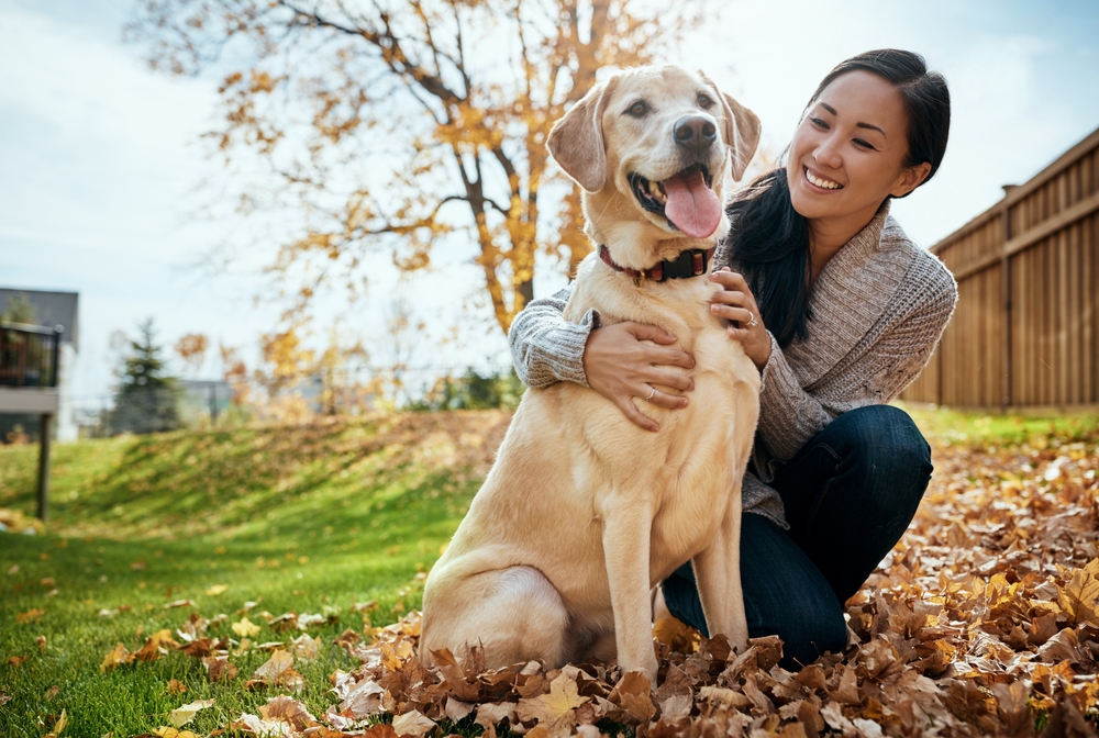behaviors of a 2 year old dog