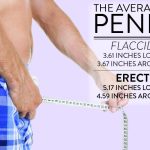 inch flaccid penis_1