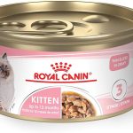 8_month_old_ate_cat_food_shocking_story