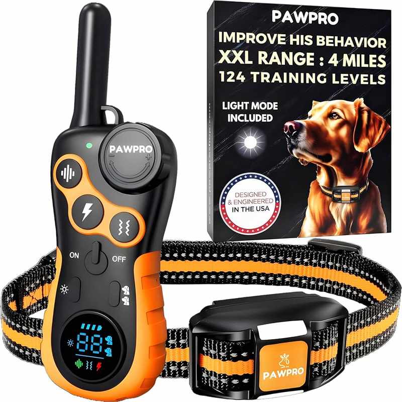 A Shocking Experience from Amazon_ Dog Edition
