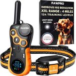 A_shocking_experience_from_amazon_dog_edition