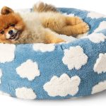 Adorable_bichon_pomeranian_mix_puppies_snuggle_up_with_your_new_best_friend