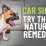 All_natural_car_sickness_remedies_for_dogs