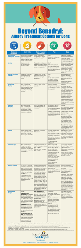 Allergy Medications for Dogs_ A Comprehensive List