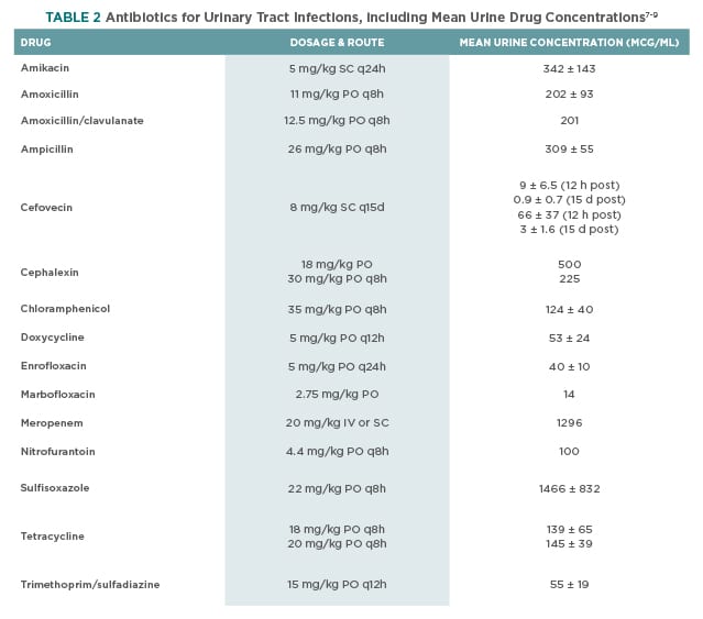 Amoxicillin 500mg Dosage for Uti in Dogs