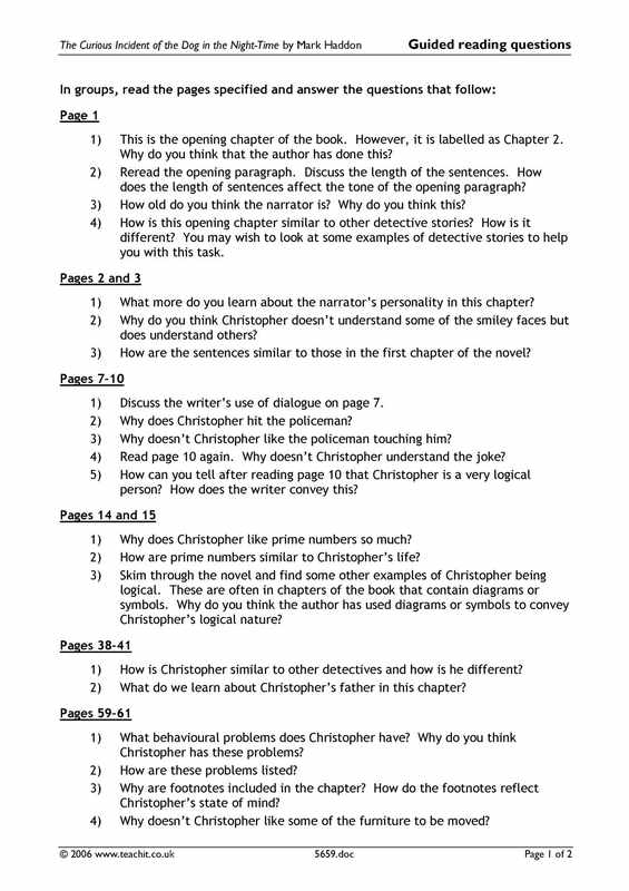 Answers To Discussion Questions For The Curious Incident Of The Dog At The Night-Time