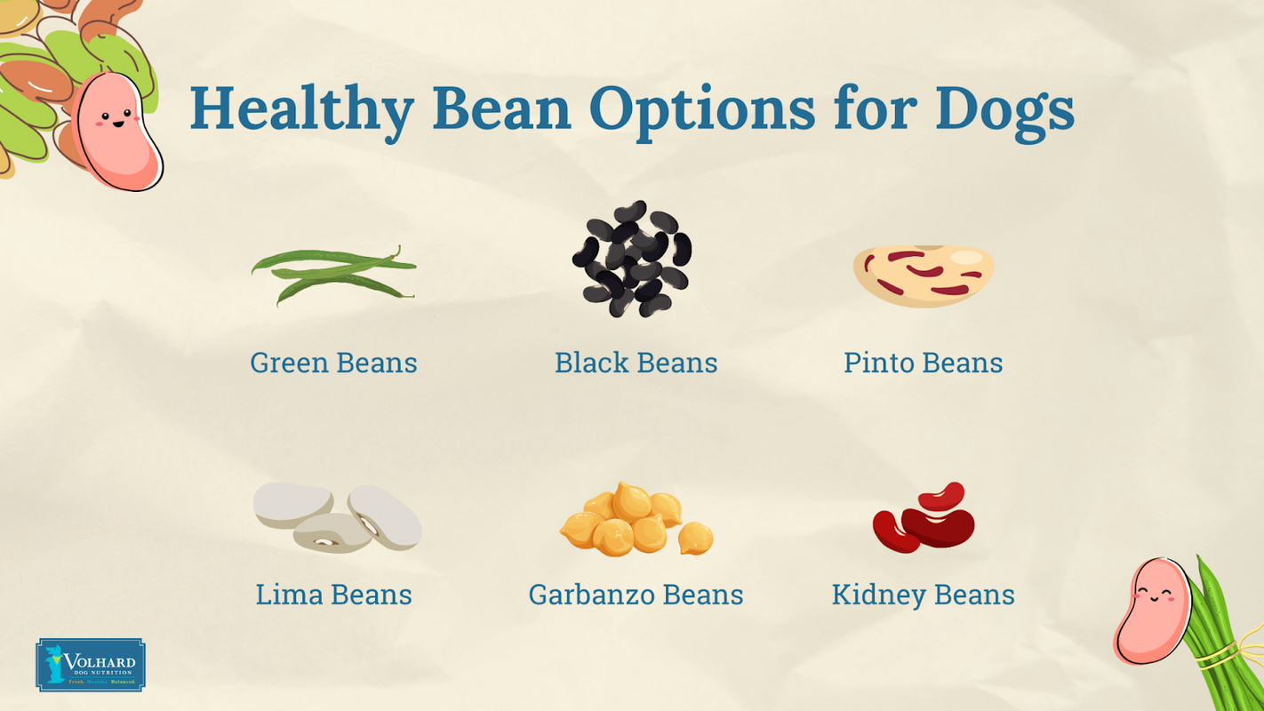Are Green Beans Bad For Dogs