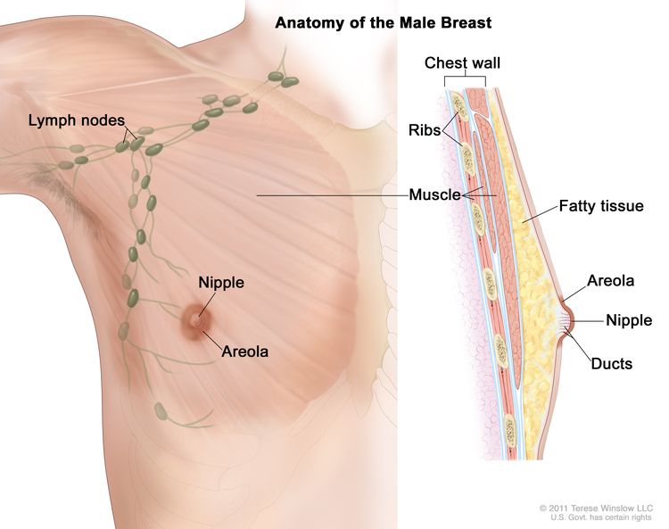 Armpit Pain No Lump_ A Male Perspective
