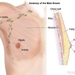 Armpit_pain_no_lump_a_male_perspective
