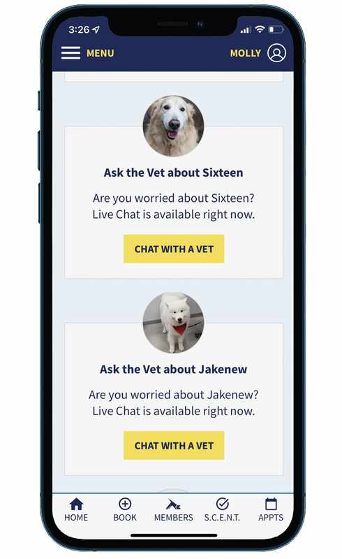 Ask A Vet App
