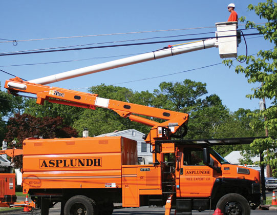 Asplundh Tree Expert Co_ Phone Number