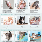 At_what_age_do_kittens_get_teeth