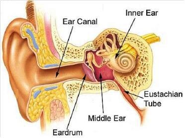 Azelastine Nasal Spray for Ears