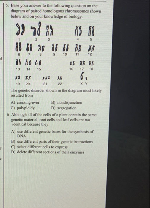 Base Your Answer to the Question on the Diagram Below and on Your Knowledge of Biology
