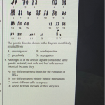 Base_your_answer_to_the_question_on_the_diagram_below_and_on_your_knowledge_of_biology