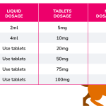 Benadryl_for_dogs_relieving_swollen_paws