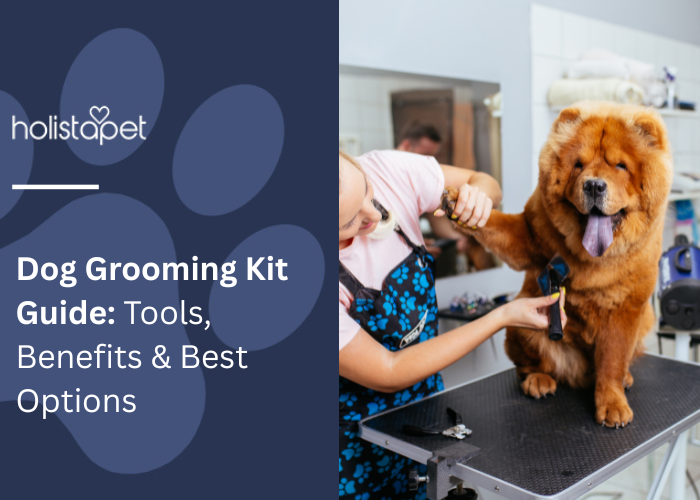 Best Grooming Options for Dogs Near Me