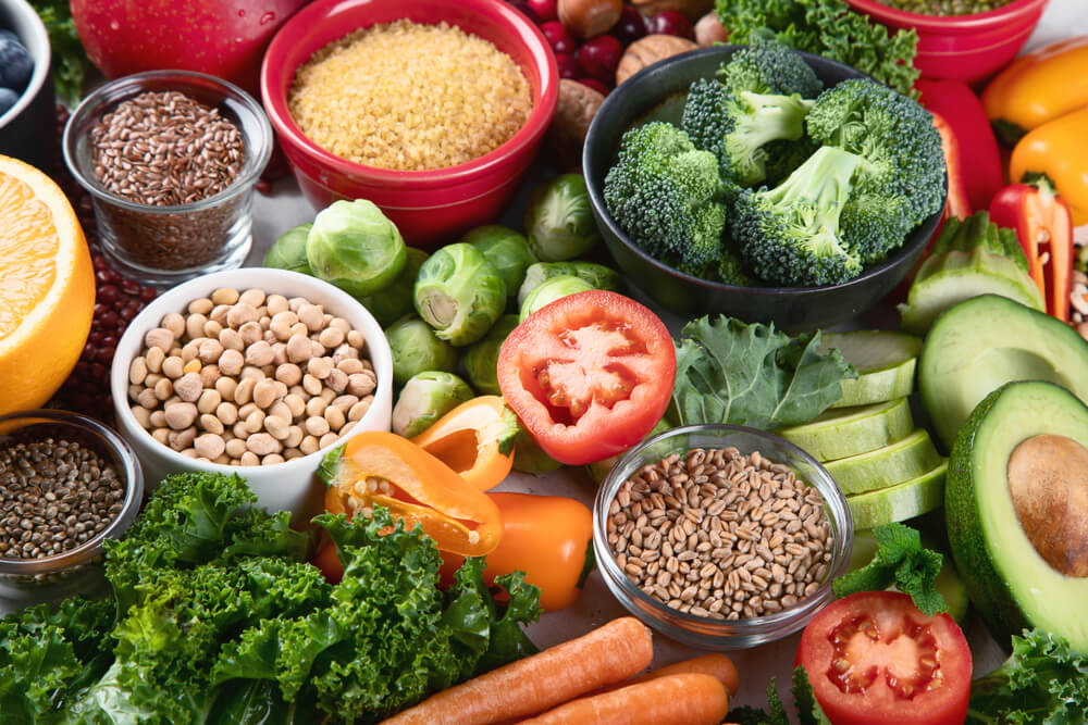 Best Quality High Fiber Dog Food