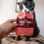 Best_cat_food_for_seniors