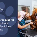 Best_grooming_options_for_dogs_near_me