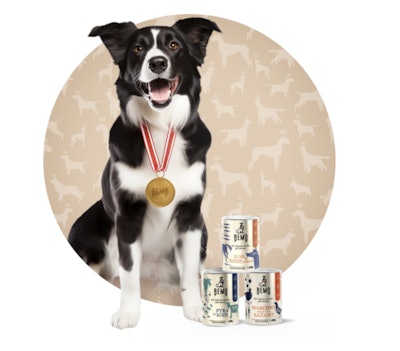Bot Fly Larvae Dog_ Expert Insights