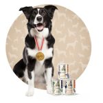 Bot_fly_larvae_dog_expert_insights