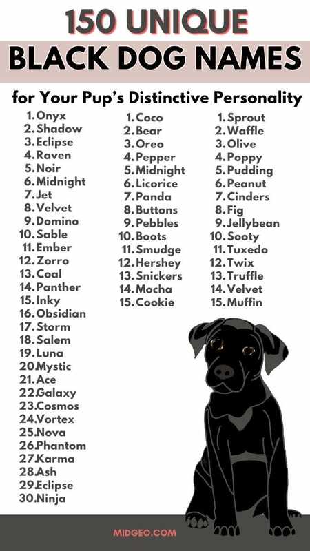 Boy Names for Black Dogs