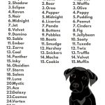 Boy_names_for_black_dogs