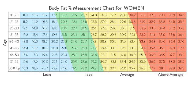 Calculate Your Body Fat Percentage and Muscle Mass