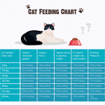 Calories_cat_per_day