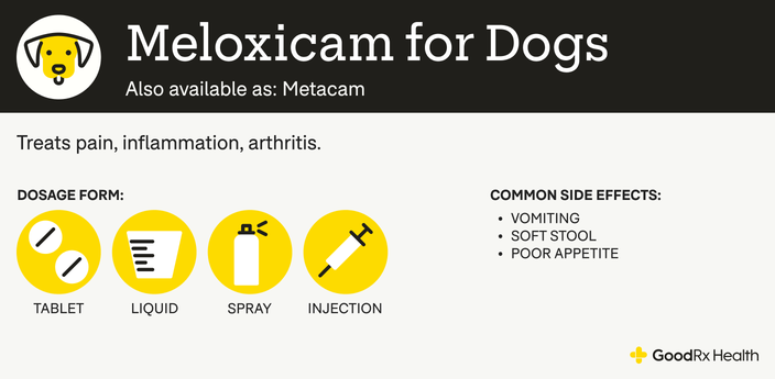 Can I Give My Dog Metacam Twice A Day