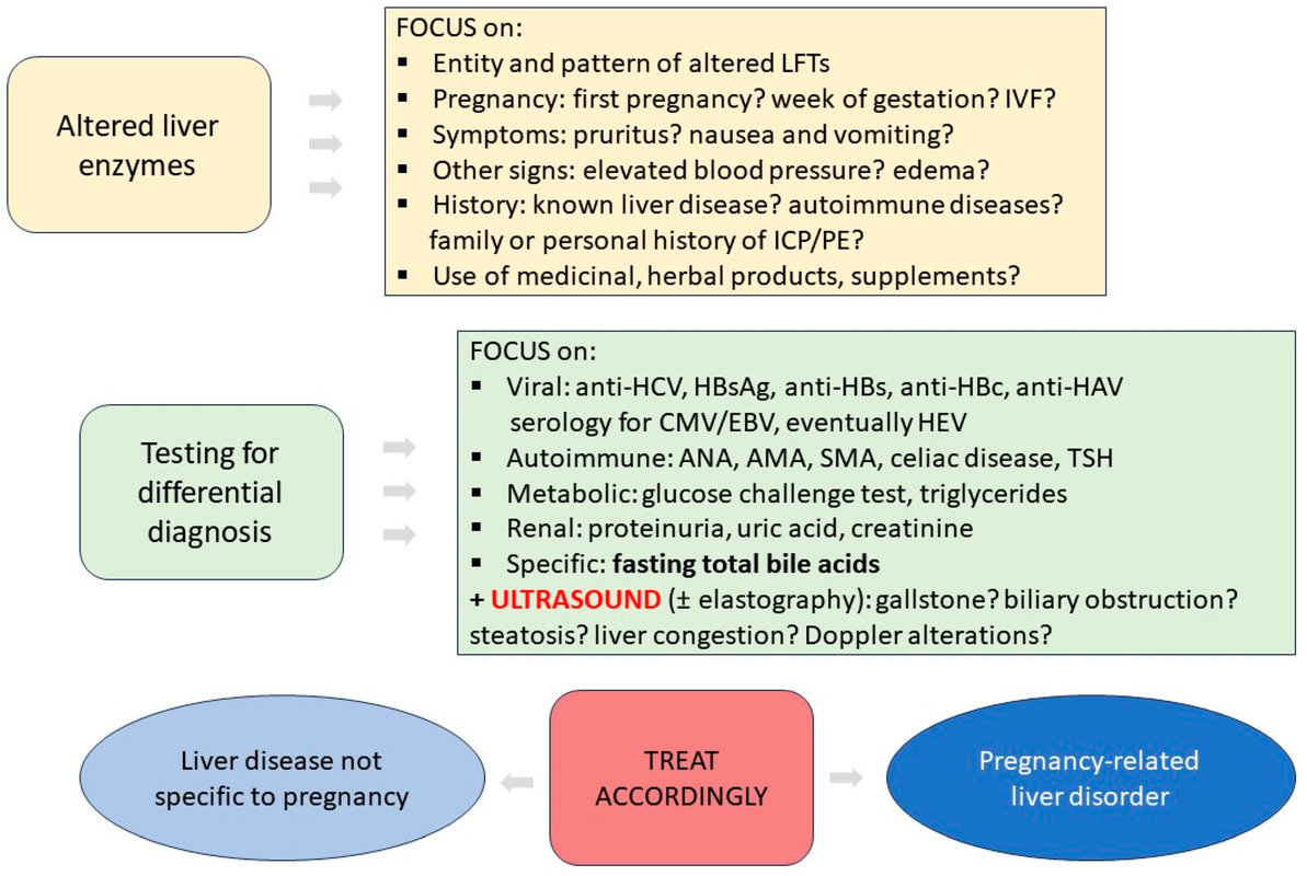 Can MS Cause Abnormal Liver Function Blood Test Results_