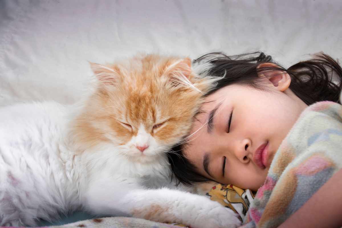 Can My Cat Catch My Sinus Infection_