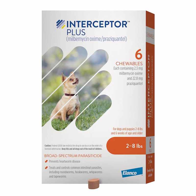 Can My Dog Get Worms While on Interceptor_