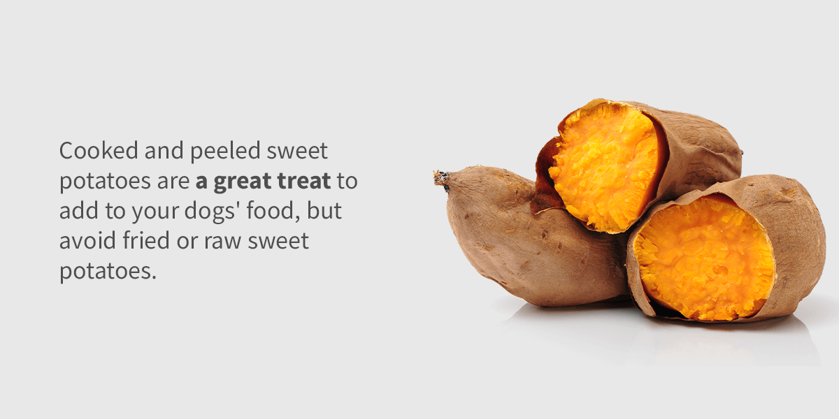 Can You Give Dogs Raw Sweet Potatoes