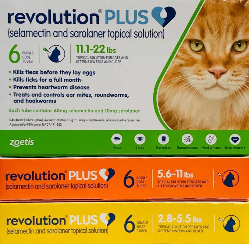 Can You Put Dog Revolution On Cats