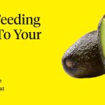 Can_a_dog_eat_avocados