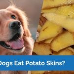 Can_dogs_eat_potato_skin