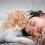 Can_my_cat_catch_my_sinus_infection