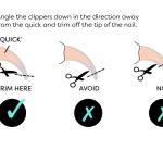Can_you_cut_cat_s_nails
