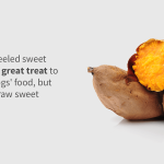 Can_you_give_dogs_raw_sweet_potatoes
