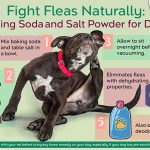 Can_you_put_baking_soda_on_dog_for_fleas